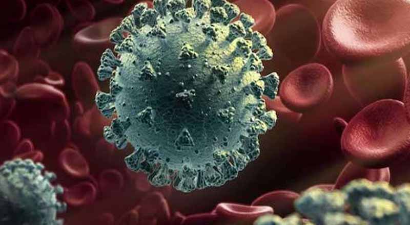 கொரோனா வைரஸின் புதிய திரிபு!  உலக சுகாதார நிறுவனம் விடுத்துள்ள எச்சரிக்கை