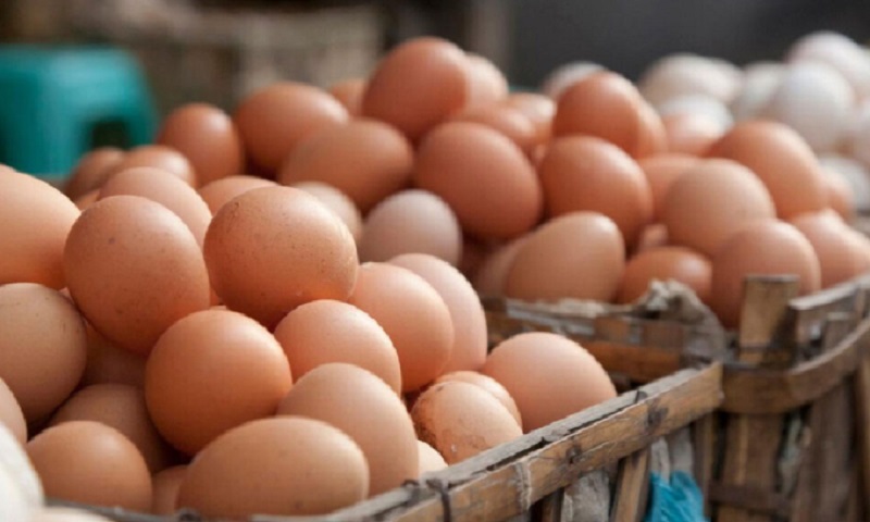 இறக்குமதி செய்யப்பட்ட முட்டைகள் தொடர்பில் வெளியான அறிவிப்பு!