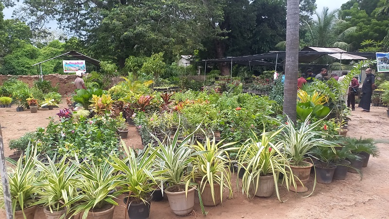 பொழுதுபோக்கு மையமாக திறந்து வைக்கப்பட்டுள்ள சங்கிலியன் பூங்கா!