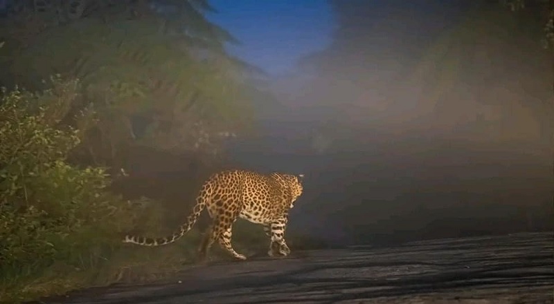 Horton Plains பகுதிக்கு செல்லும் சுற்றுலா பயணிகளுக்கான முக்கிய அறிவிப்பு