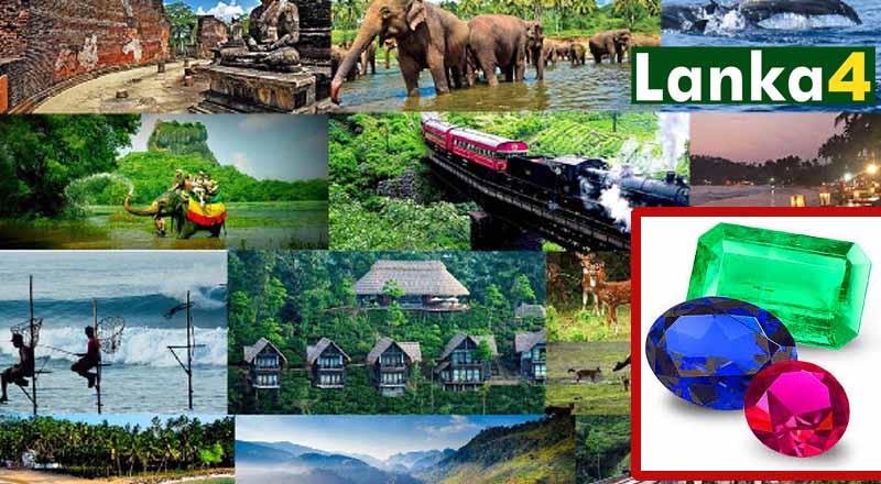 அடுத்த தேர்தலில் ரணில் தன் ஆட்சியை தக்க வைக்க எடுக்கும் ஆயுதம்! (Lanka4 இன் பிரத்தியேக செய்தி)