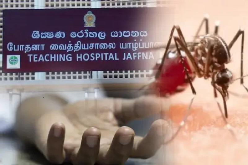 யாழ்.போதனாவில் அதிகரிக்கும் டெங்கு மரணங்கள்!