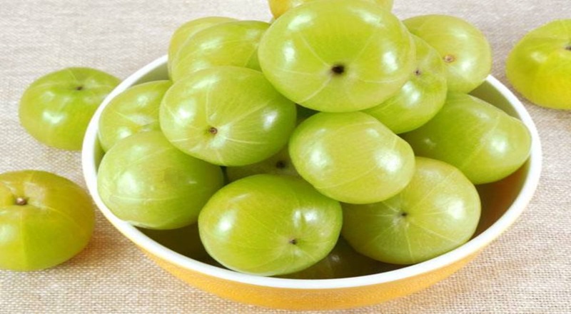 ஒரு நாளைக்கு ஒரு நெல்லிக்காய் சாப்பிட்டால் உடலுக்கு என்ன பலன்?