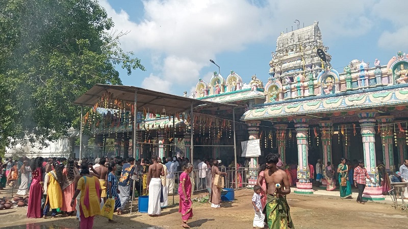 மட்டுவில் பன்றித்தலைச்சி அம்மன் ஆலயத்தில் நான்காவது பங்குனித் திங்கள் உற்சவம் வெகு விமர்சை!