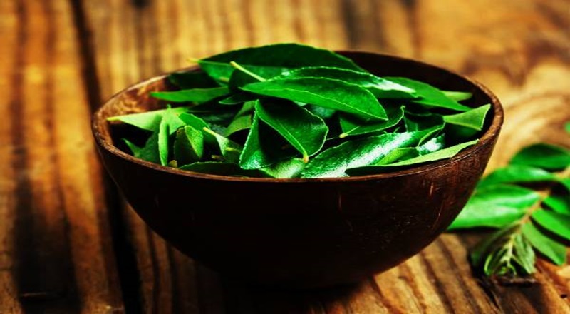 அடர்த்தியான முடிவளர்ச்சிக்கு கறிவேப்பிலையில் சிறந்த ஆயுர்வேத எண்ணெய்!