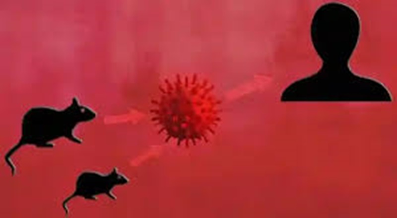 விழிப்புடன் இருக்குமாறு பொதுமக்களுக்கு எச்சரிக்கை!