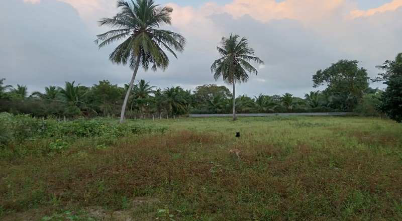 திருவையாற்றில் தோட்டச் செய்கைக்குரிய மேட்டுக் காணி விற்பனைக்கு உண்டு