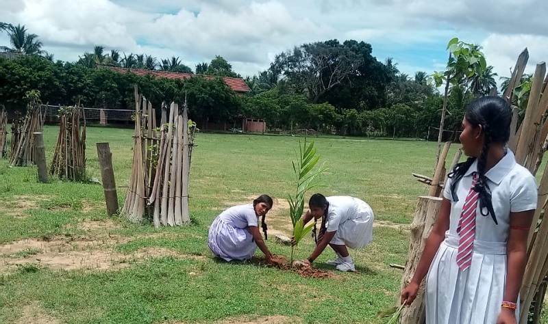 சாதாரண தர பரீட்சை எழுதிய மாணவர்களின் முன்மாதிரியான செயற்பாடு!