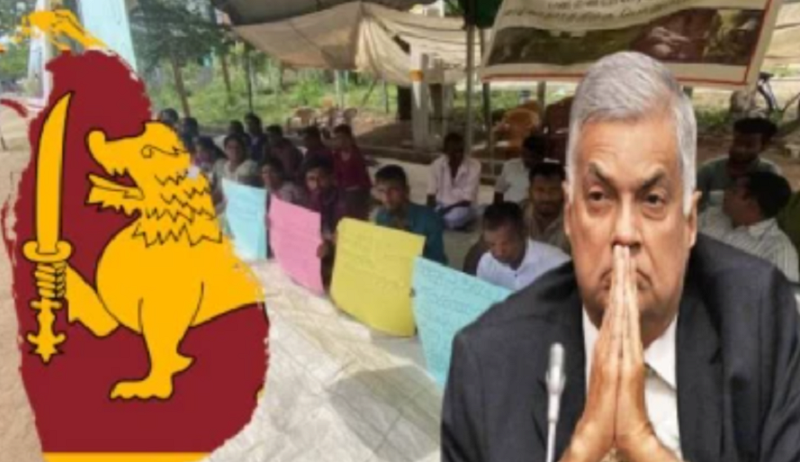 மயிலத்தமடு மேய்ச்சல்தரையை ஒப்படைக்குமாறு ஜனாதிபதி கோரிக்கை!