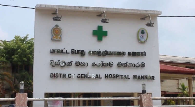 மன்னாரில் பாடசாலை மாணவர்கள் 8 பேர் வைத்தியசாலையில் அனுமதி