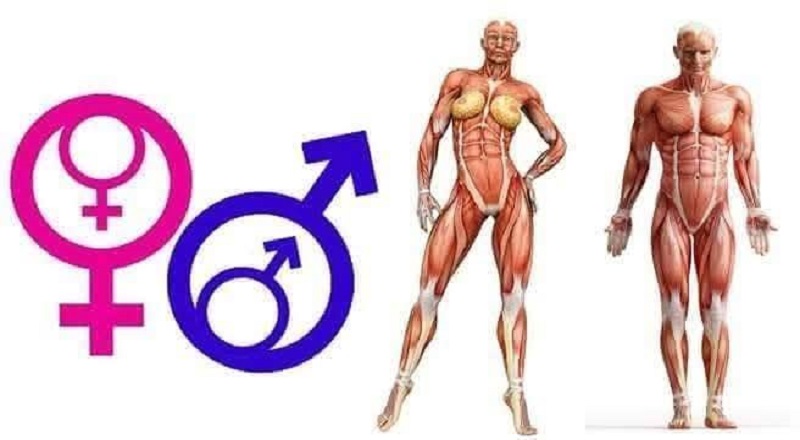 ஆணும் பெண்ணும் சமமானவர்களில்லை..