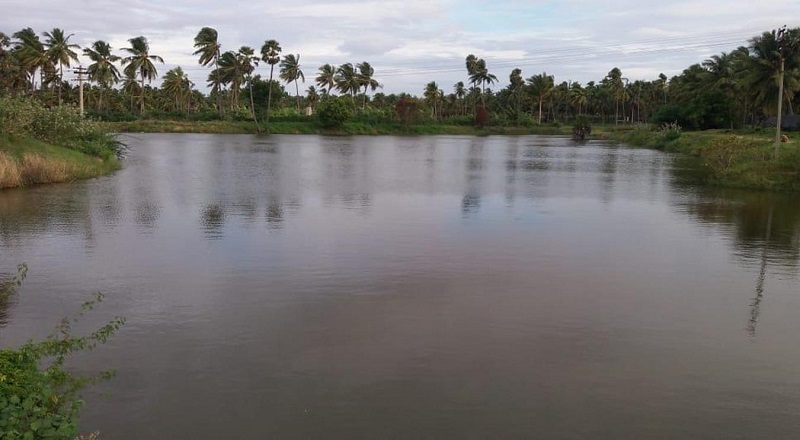 கிளிநொச்சியில் - 339 குளங்கள் காணாமல் ஆக்கப்பட்டுள்ளன!