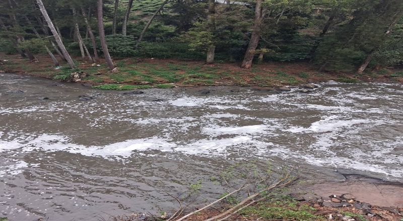 கடும் துர்நாற்றத்துடன் நிறம் மாறிய கொத்மலை ஓயாவின் நீர் -