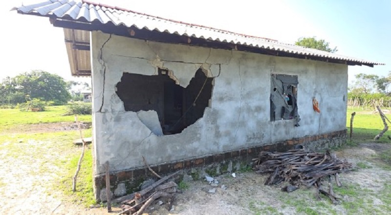 திருமலையில் காட்டு யானைகளின் அச்சுறுத்தல்..