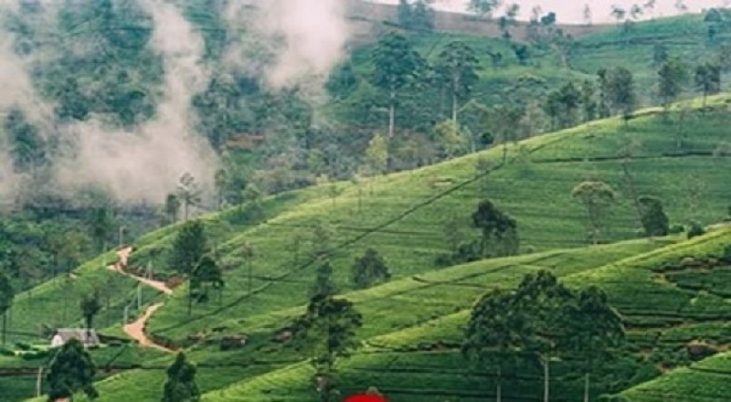 இலங்கையின் ‘லிட்டில் இங்கிலாந்து’ - கண்களை மயக்கும் மூடுபனி..