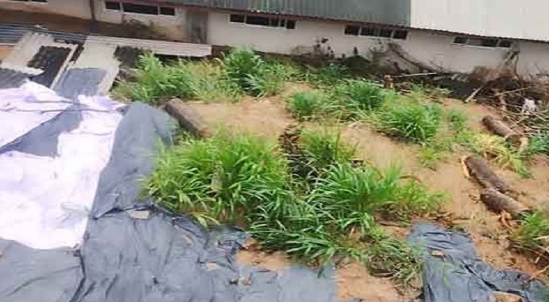 பதுளை பிரபல பாடசாலையில் மண்சரிவு அபாயம்.