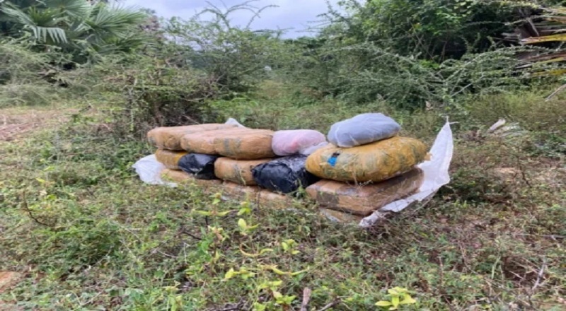 மாசாரில் 105 லட்சம் ரூபா மதிப்பிலான கேரள கஞ்சா மீட்பு!