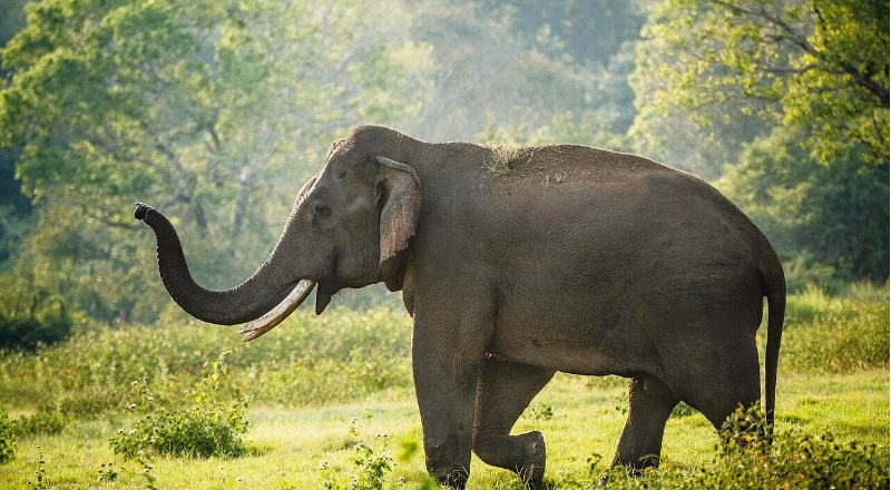 கிளிநொச்சி அனர்த்த முகாமைத்துவ பிரிவினரின் அறிவித்தல்