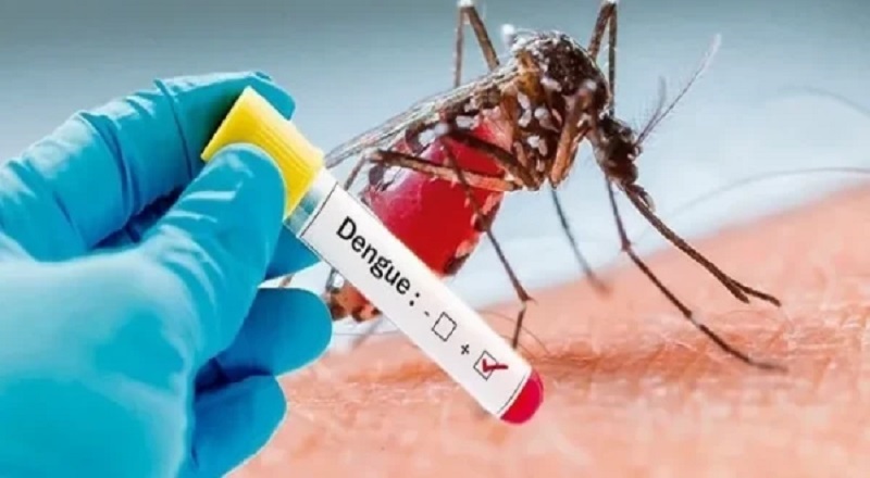 கொழும்பில் அதிகரித்த டெங்கு நோயாளர்கள் !