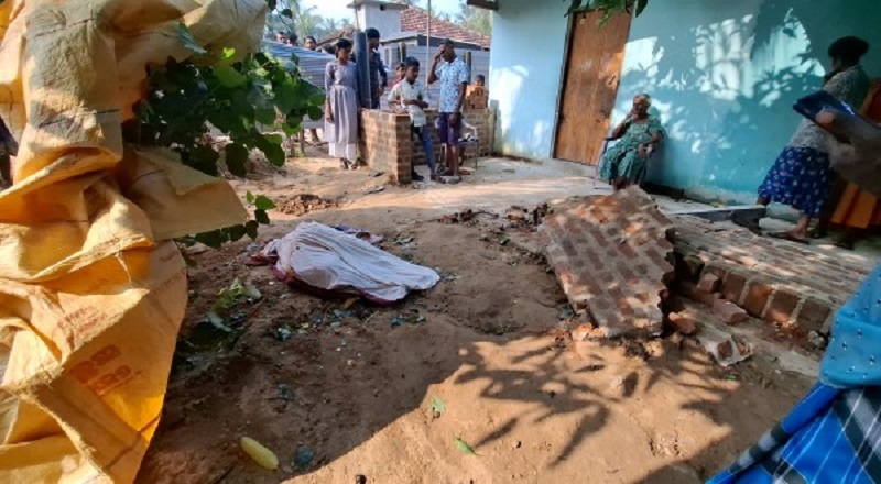 வீட்டிலிருந்த மூதாட்டியை தூக்கியடித்த யானை!