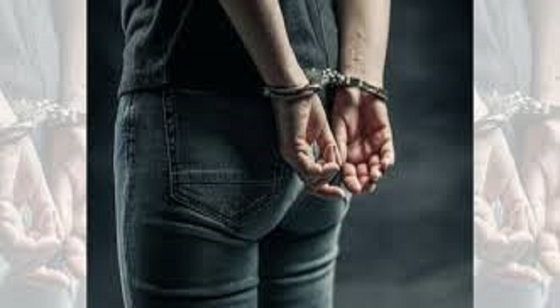 சட்டவிரோத மரக்கடத்தல்: 40 லட்சம் பெறுமதியான பாலைமரக் குற்றிகளுடன் ஒருவர் கைது!