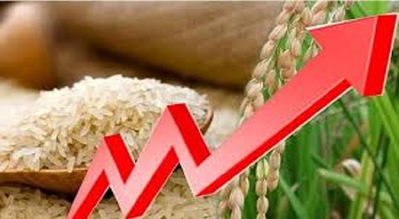 புத்தாண்டு காலத்தில் அரிசி விலை உயருமா? - அரசாங்கம் அதிரடி அறிவிப்பு!