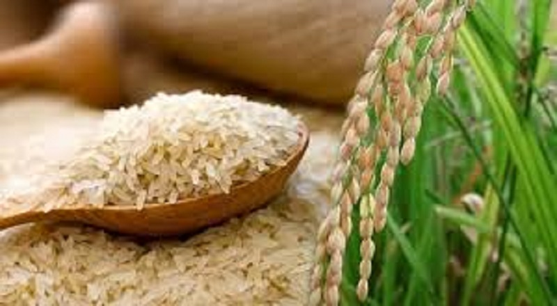 அதிரடி அனுமதி: பொன்னி சம்பா மற்றும் கீரி பொன்னி இறக்குமதிக்கு பச்சைக்கொடி காட்டிய அமைச்சரவை.