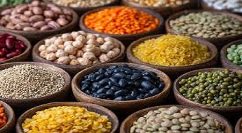 இலங்கையில் பாரிய விதை தட்டுப்பாடு ஏற்படும் அபாயம்: விவசாயத் துறைக்கு விடுக்கப்பட்டுள்ள கடும் எச்சரிக்கை!