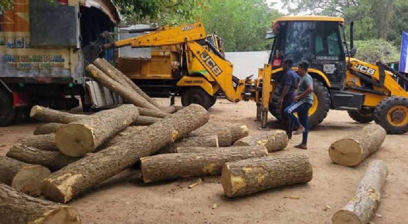 10 இலட்சம் பெறுமதியான முதிரை மரக்குற்றிகளுடன் பாரவூர்தி மீட்பு: சாரதி கைது!