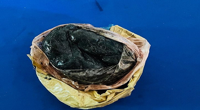 வடமராட்சி கிழக்கில் பரபரப்பு: நாகர்கோவிலில் ‘குஷ்’ போதைப்பொருள் சிக்கியது!
