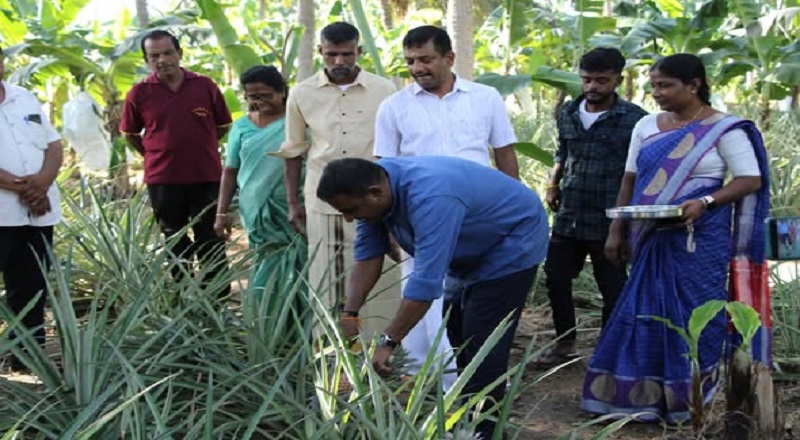 திருவையாற்றில் நிகழ்ந்த விவசாயப் புரட்சி சவாலை வென்ற டெல்டா மண்!!