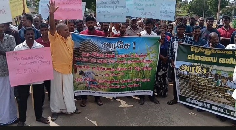 நெல் விலை நிர்ணயம்: கிளிநொச்சியில் விவசாயிகள் வீதிக்கு இறங்கிப் போராட்டம்!