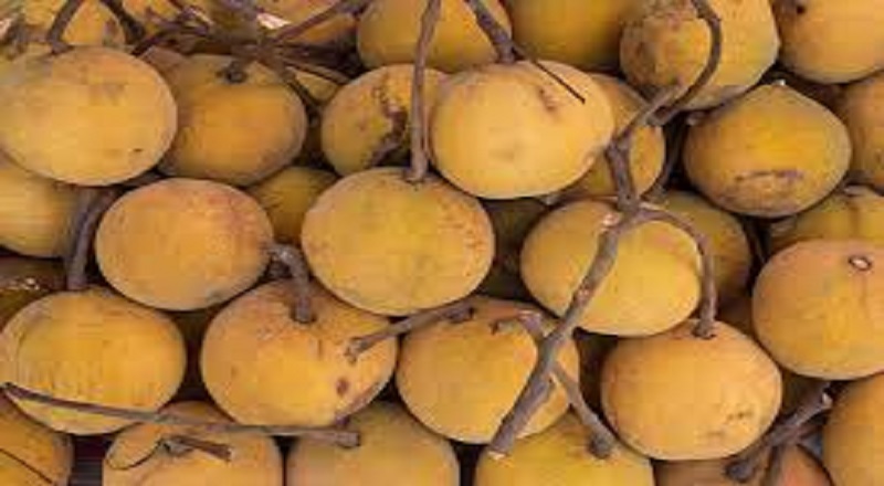 காட்டன் புரூட்' என்று அழைக்கப்படும் சான்டோல் (Santol) பழத்தின் மருத்துவ குணங்கள்
