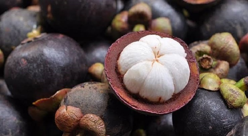 நோய் எதிர்ப்பு சக்தியை அதிகரிக்கும் ‘மங்குஸ்தான் பழம்’