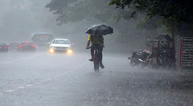 நுவரெலியா நோர்டன் பகுதியில் கனமழை: 258.6 மில்லிமீற்றர் மழைவீழ்ச்சி பதிவு!