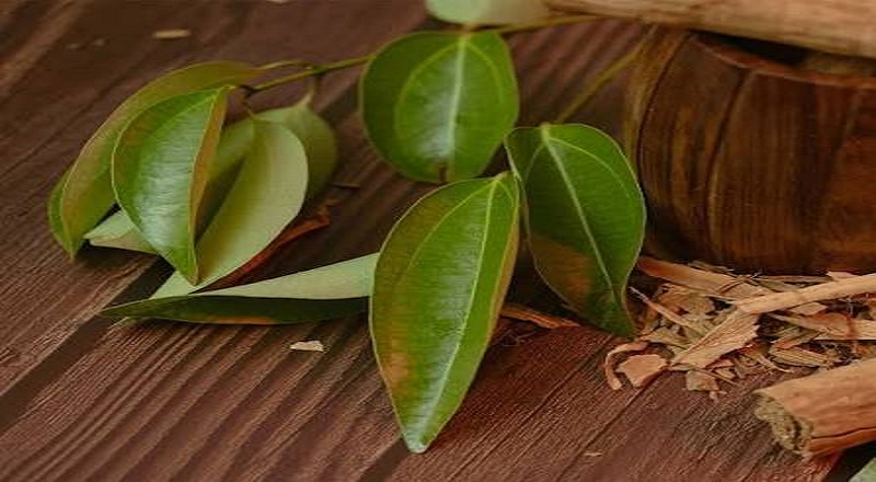 கிளிநொச்சி திருவையாறுப்பகுதியில் நான்கு ஏக்கர் நிலப்பரப்பில் கறுவா செய்கை அறுவடை.