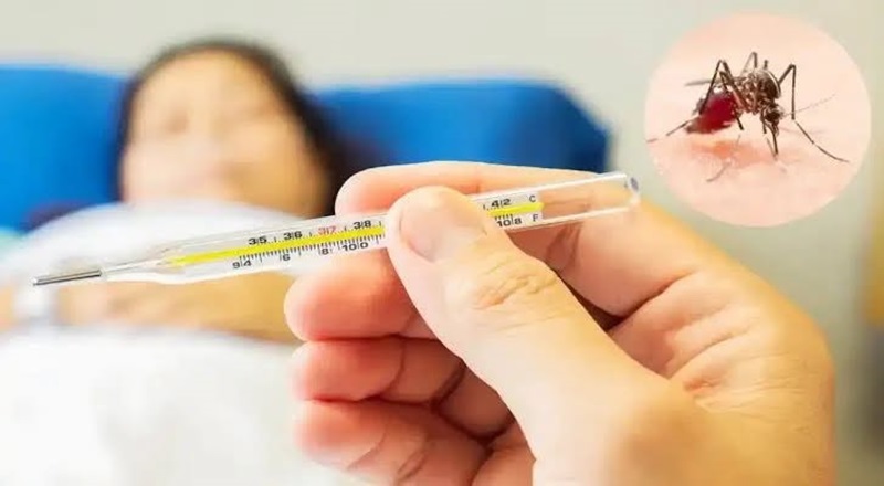 டெங்கு மரணங்களின் எண்ணிக்கை 64 ஆக அதிகரிப்பு – 89,033 பேர் பாதிப்பு