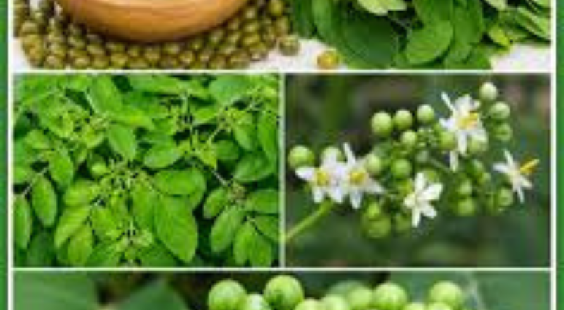 ஹீமோகுளோபின் அதிகரிக்க உதவும் உணவுகள்!