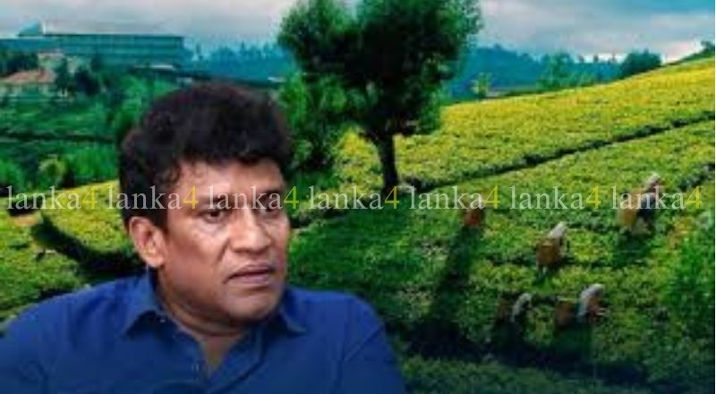 தோட்டத் தொழிலாளர்களுக்கு முறையான வேலைவாய்ப்பு இல்லை – திகாம்பரம்!