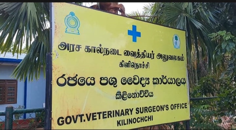 வடமாகாண அரச கால்நடை வைத்தியர்கள் மேற்கொண்டுள்ள சுகயீன விடுமுறை பணிப்புறக்கணிப்பு