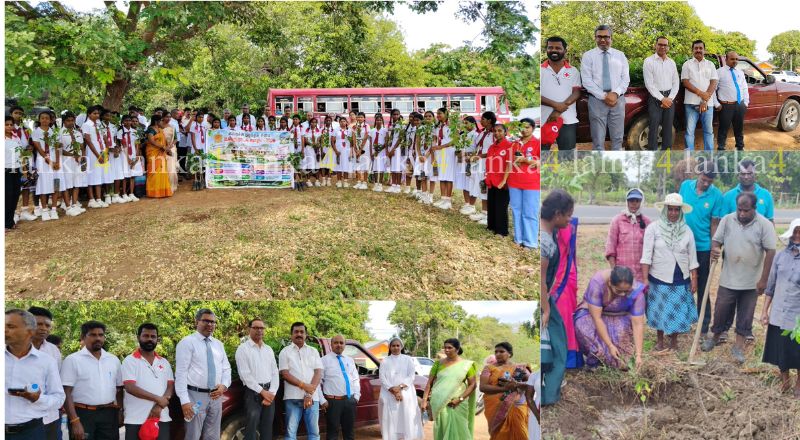பல்வேறு தரப்பினரின் பங்கேற்புடன் மரநடுகை செயற்திட்டம்