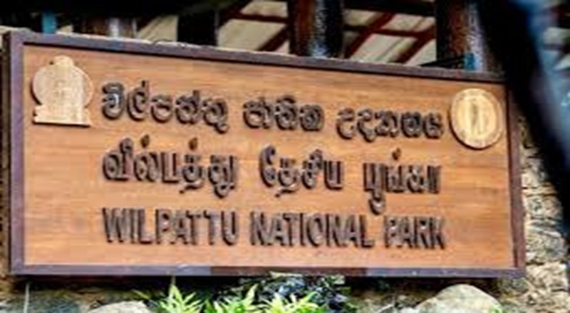 வில்பத்து எல்லையில் மரங்கள் எரிப்பு: உடனடி விசாரணைக்கு உத்தரவு