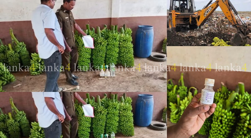 ஆலய அன்னதானத்துக்காக காலாவதியான மருந்து தெளிக்கப்பட்ட வாழைக்குலைகள் – நபருக்கு 6 மாத சிறை!