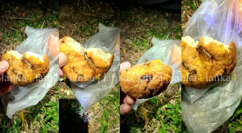 பிரபல உணவகத்தில் வாங்கிய வடைக்குள் வெட்டுக்கிளி!