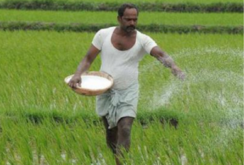 விவசாயிகளுக்கான உர மானியம்   விவசாயிகளின் கணக்கில் நேரடியாக வைப்பு!