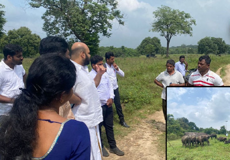 பரம்பரை மேய்ச்சல் தரை காணிகளை வேறு மாவட்டங்களை சேர்ந்தவர்கள் அபகரிக்கும் நிலைமை! மட்டு.பண்ணையாளர்கள் கவலை