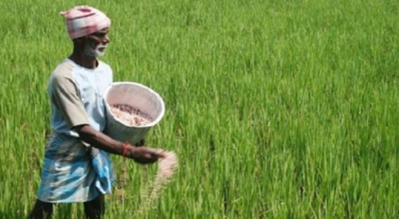 சிறுபோகத்திற்குத் தேவையான உரம் எதிர்வரும் வாரம்  விநியோகம்