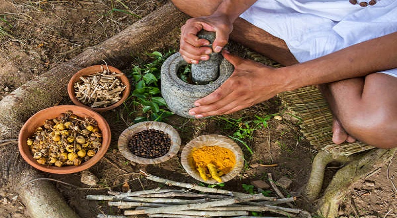 முற்றிய சர்க்கரை நோயும் முழுமையாக நீங்க மூலிகை வைத்தியம்