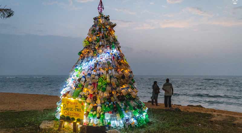 வெள்ளவத்தை கடற்கரையோரத்தில் பலரின் கவனத்தை ஈர்த்த நத்தார் மரம்