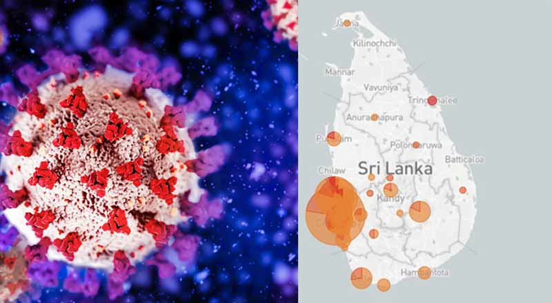 அமெரிக்காவில் கண்டுபிடிக்கப்பட்டுள்ள புதிய எக்ஸ்பிபி.1.5 கொரோனா மாறுபாடு குறித்து தீவிர அவதானத்தில் இலங்கை